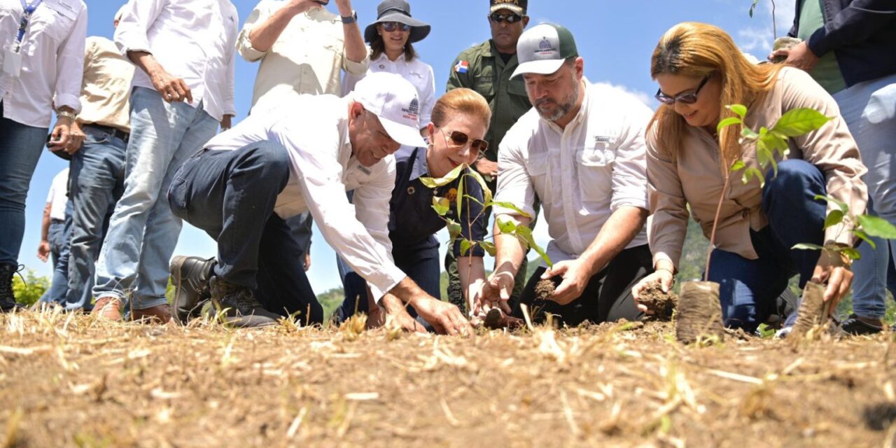 Medio Ambiente y Sur Futuro dan inicio en la región sur a las actividades del Mes de la Reforestación