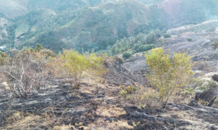 Bomberos forestales extinguen incendio en el Parque Nacional Valle Nuevo